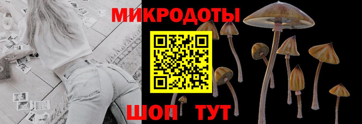 Псилоцибиновые грибы Psilocybine cubensis  Вход с VPN  Сургут 