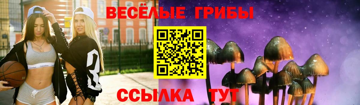 Псилоцибиновые грибы Magic Shrooms Сургут
